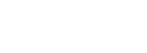 PESOMAX