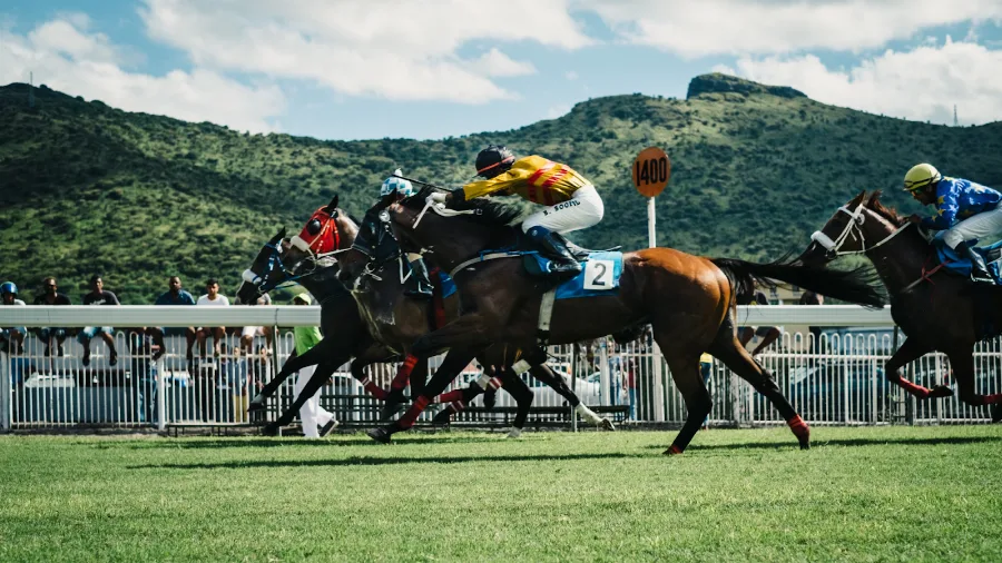Sports Betting in the Philippines: Everything You Need to Know