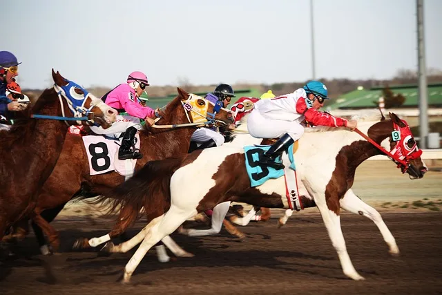 Your Guide to Horse Racing and Betting in the Philippines