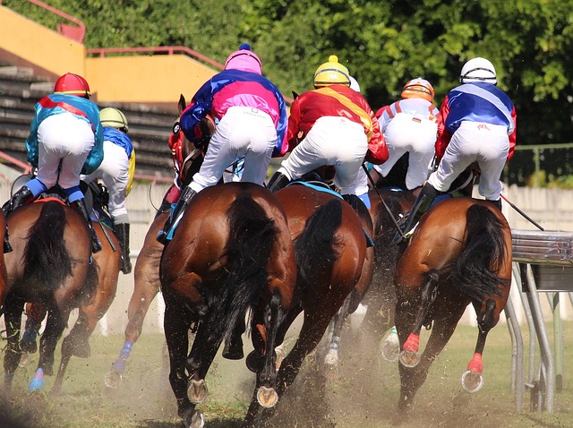 Best Horse Racing Betting Sites