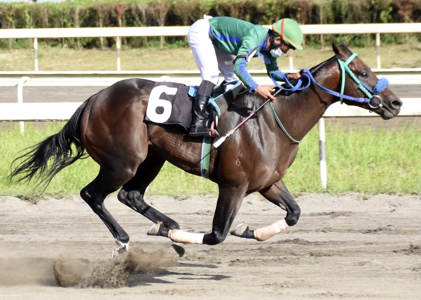 How To Bet On Horse Racing