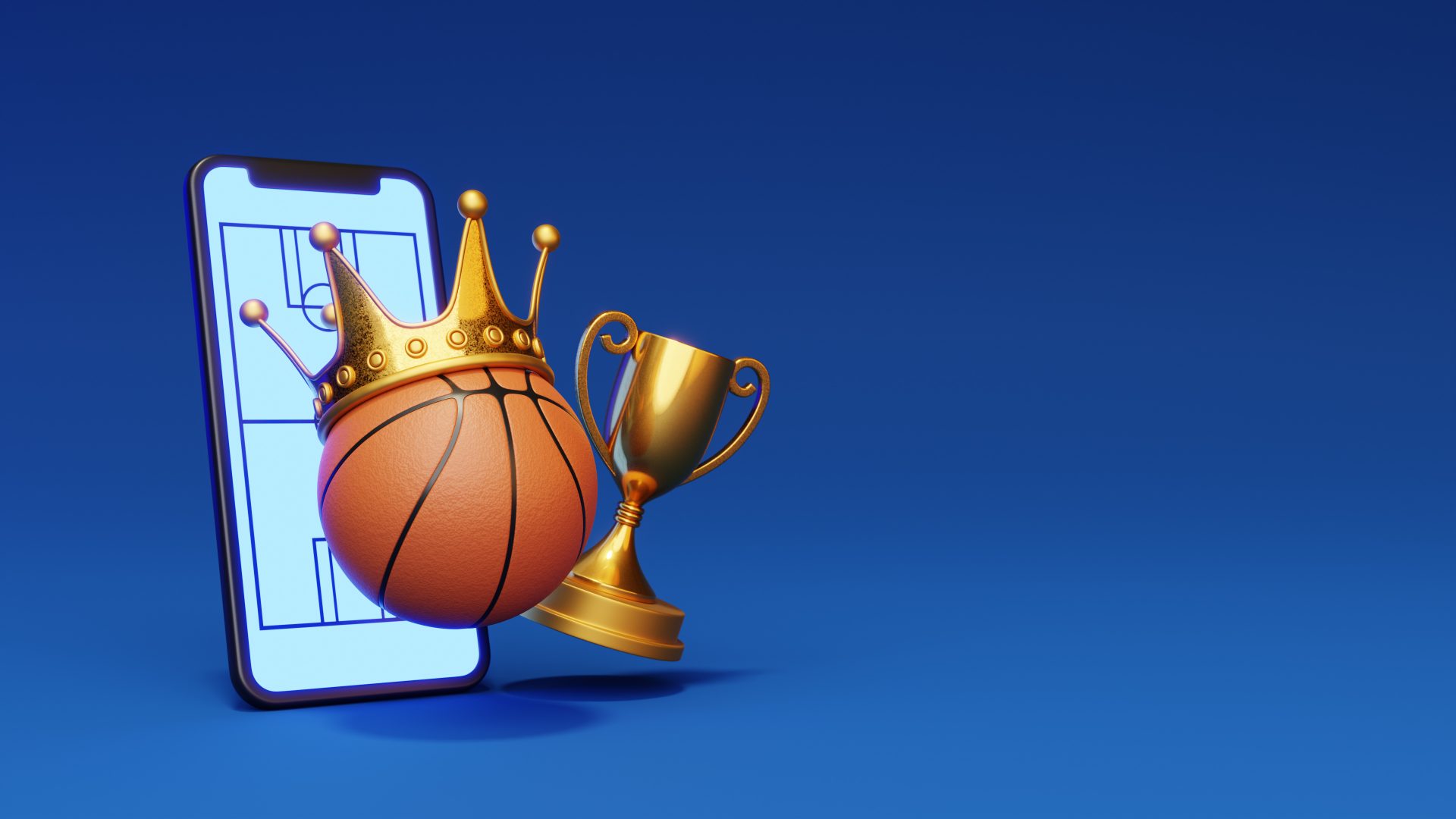 3D View Basketball Essentials
